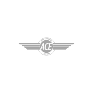 ACE Logo